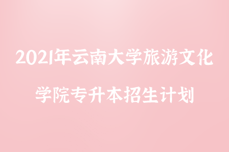 2021年云南大學旅游文化學院專升本招生計劃.png