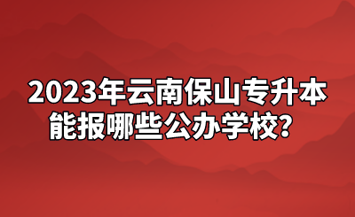 2023年云南保山專升本能報哪些公辦學校？.png