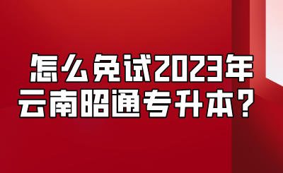 怎么免試2023年云南昭通專升本？.png