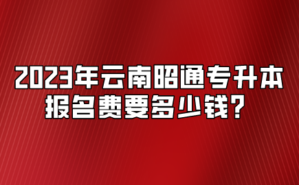 2023年云南昭通專升本報名費