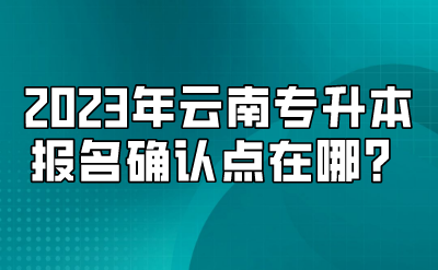 2023年云南專升本報名確認點