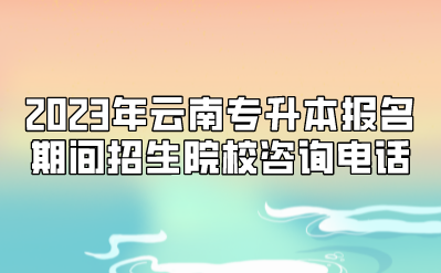 2023年云南專升本報名期間招生院校咨詢電話