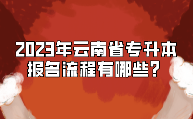 2023年云南省專升本報名流程有哪些？.png