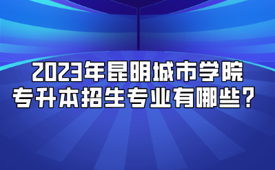 2023年昆明城市學院專升本招生專業