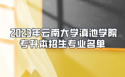 2023年云南大學滇池學院專升本招生專業