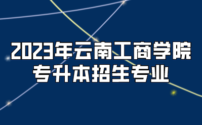 2023年云南工商學院專升本招生專業