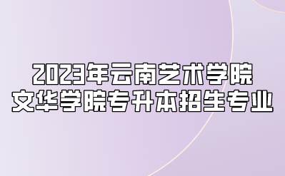 2023年云南藝術學院文華學院專升本招生專業