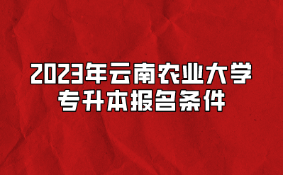 2023年云南農業大學專升本報名條件