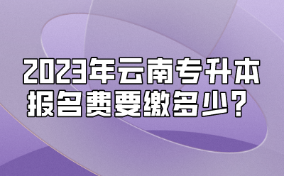 2023年云南專升本報名費要繳多少？