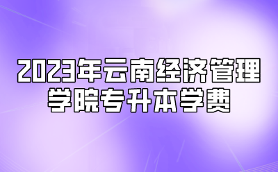 2023年云南經濟管理學院專升本學費