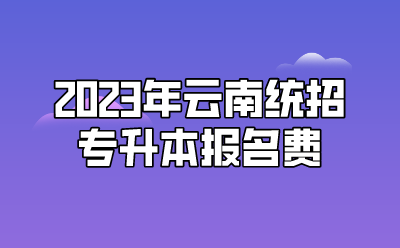 2023年云南統招專升本報名費