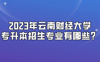 2023年云南財經大學專升本招生專業