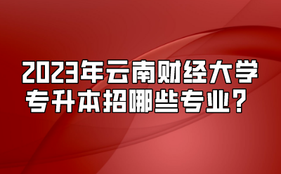 2023年云南財經(jīng)大學(xué)專升本招哪些專業(yè)？