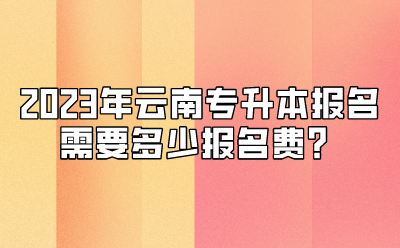 2023年云南專升本報名需要多少報名費？