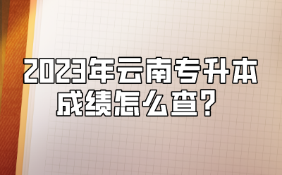 2023年云南專升本成績怎么查？