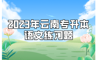 2023年云南專升本語文練習題