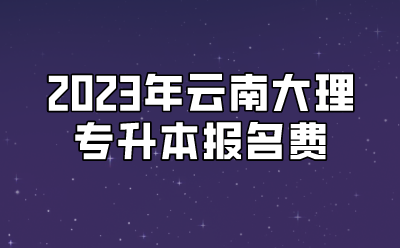 2023年云南大理專升本報名費