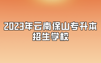 2023年云南保山專升本招生學校