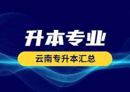 2024年云南專升本專業(yè)有哪些？23年所有招生專業(yè)匯總.jpg