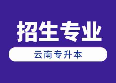 2024年云南專升本招生人數最多專業——工商管理.jpg