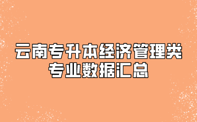 云南專升本經濟管理類專業數據匯總