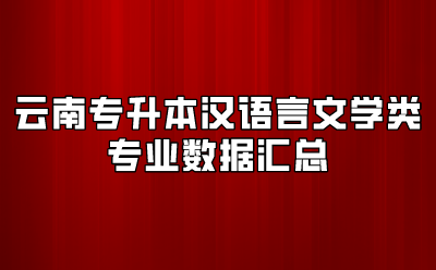 云南專升本漢語言文學類專業(yè)數(shù)據(jù)匯總