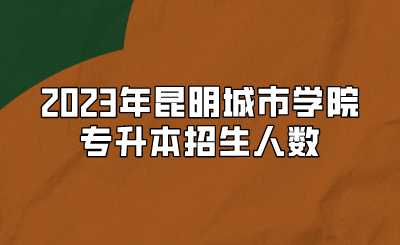 2023年昆明城市學院專升本招生人數(shù)