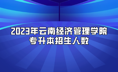 2023年云南經濟管理學院專升本招生人數