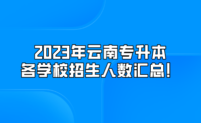 2023年云南專升本各學校招生人數匯總