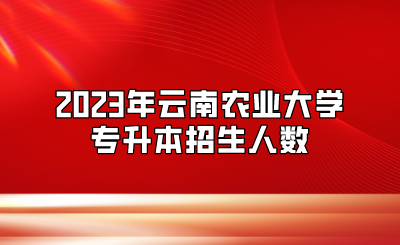 2023年云南農業大學專升本招生人數