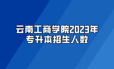 云南工商學(xué)院2023年專升本招生人數(shù)