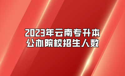 2023年云南專升本公辦院校招生人數