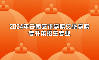 2024年云南藝術學院文華學院專升本招生專業