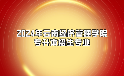 2024年云南經(jīng)濟(jì)管理學(xué)院專升本招生專業(yè)