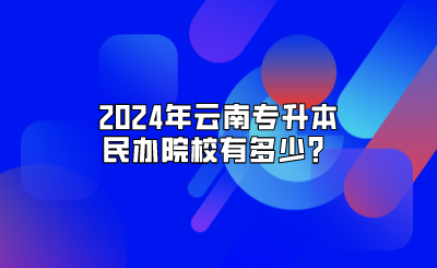 2024年云南專升本民辦院校