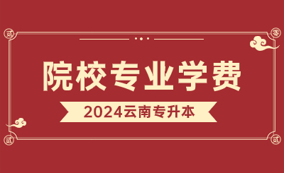 2024年滇西科技師范學院專升本學費