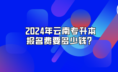 2024年云南專升本報名費