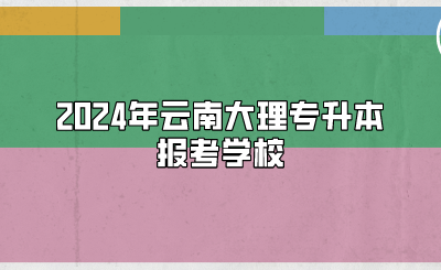 2024年云南大理專升本報(bào)考學(xué)校