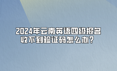 2024年云南英語四級(jí)報(bào)名收不到驗(yàn)證碼怎么辦？