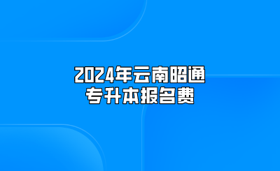 2024年云南昭通專升本報(bào)名費(fèi)