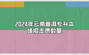 2024年云南普洱專升本填報志愿數量