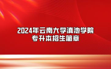 2024年云南大學滇池學院專升本招生簡章