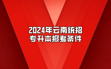 2024年云南統招專升本報考條件