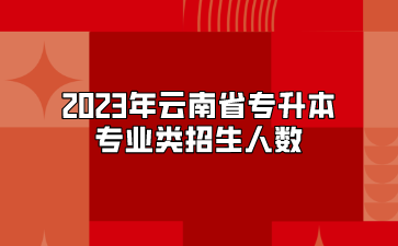 2023年云南專升本專業類招生人數